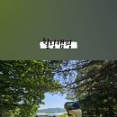 자연로하스 이미지