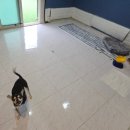 윤앤가 네이버블로그