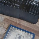 공평동 가로수길 | 은행빛 4인가구는 딱 이렇게 진행하면 됩니다