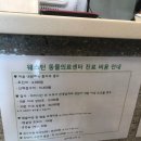 신촌로 110 웨스턴동물의료센터 신촌역 5번출구 | [#팅13] 웨스턴 동물의료센터 - 퇴원 후 3번째 검진 (면역매개성 용혈성 빈혈)