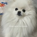 (주)다나온 이미지