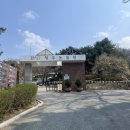 충북 아이랑 가볼 만한 곳 청주 아이랑 가볼 만한 곳 거점 동물원 “청주동물원”