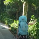 마산재길정상 | 홍콩 백패킹 해외여행 후기 (ft. 마온산)