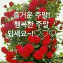 명심보감 이미지