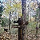 달마약수터 이미지