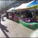 부여전자 이미지