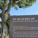 제주 성읍마을 한봉일 고택 이미지