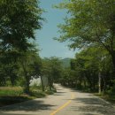 설매재자연휴양림 야영장 이미지