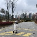 와플대학병점캠퍼스