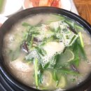 알포카 | 굨코륙명뇨칸늬