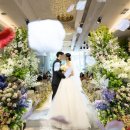 아름다운 개 | 전주 본식 스냅은 피에타 스냅, 전주 아름다운컨벤션 피에스타홀 피에타스냅 후기