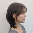 헤어위즈 이미지