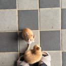 서래오뎅 이미지