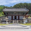 아젤리아 이미지