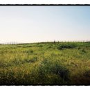 진성모텔 이미지