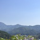 라일락휴게소 이미지