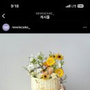 지혜네 케이크숍 이미지
