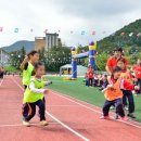 인제초등학교 이미지