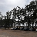 노을숲캠핑장 이미지