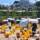 판타지아1950 이미지