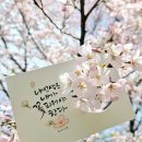 책속글 - 마음속에 분노를 담아 두지 말자 이미지