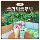 초록숲작은도서관 | [서울] 마곡 카페 ‘플라워플로우’ | 내돈내산 | 식물원 숲 감성 신상 카페 솔직후기