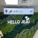 대양빌리지 | [국내여행]제주도 서귀포시 해비치 호텔 후기