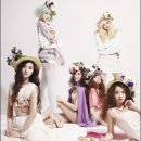 비너스(VENUS)