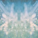 폴링 이미지