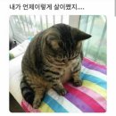 스튜디오진 이미지