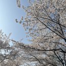 HYE(카페 혜) 네이버블로그