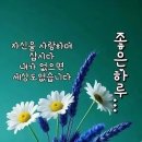 ♤집 근처 대형마트에 갈 때면♧ 이미지