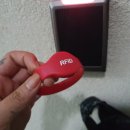 맹방비치캠핑장 이미지