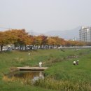안산천 이미지