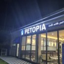 펫토피아(PETOPIA) 이미지