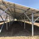 비와이태양광발전소 이미지