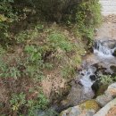 무릉도원면-25 이미지