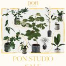 피오앤스튜디오 네이버블로그