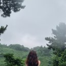 팔도셀프주유소 | 하계휴가! 제주도 여행⛰️✈️