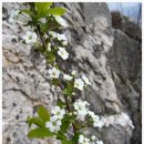 삼봉2리 | 문안산 (536m) (경기 남양주) 산행기