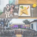 레프트핸더 스테이 | 제주도 동쪽 애견동반 독채 숙소 추천 레프트핸더 스테이 안채 3인 후기 조식