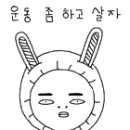 강남태권도장 이미지