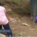 천짓골식당