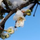 맑은마음정신과의원 이미지