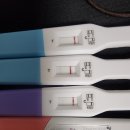 이유경한의원 | 두번 유산 후 재임신 유지 후기