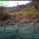 웅천읍두룡1리마을회관 | 충남 보령시 웅천읍 토지(전)경매 물건, 경매낙찰가 상담 == 사건번호 [2018타경15690], 경락자금