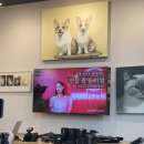 [후기] 줌인카메라 조명 촬영 세미나- 지속광, 순간광 활용하기 with 파블로 작가님