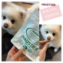 티어리베 | 강아지눈물영양제, 하우스티어 리베티어 눈/눈물 영양제 밤둥이네 밤순 급여후기