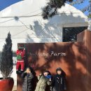 양남농장 이미지