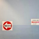 대합정기시장 | 인천 영흥도 조개구이 맛집 가성비 최고! 이백분조개구이